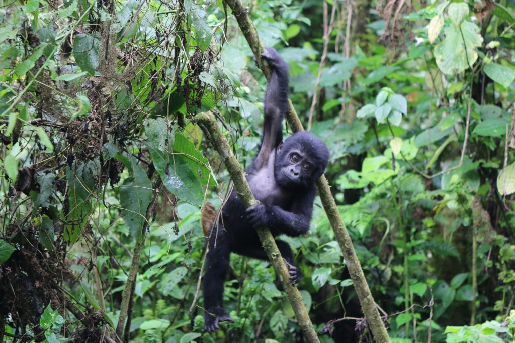 Welcome to East Africa