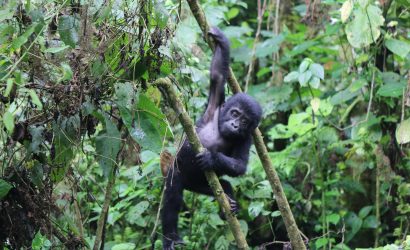 Welcome to East Africa