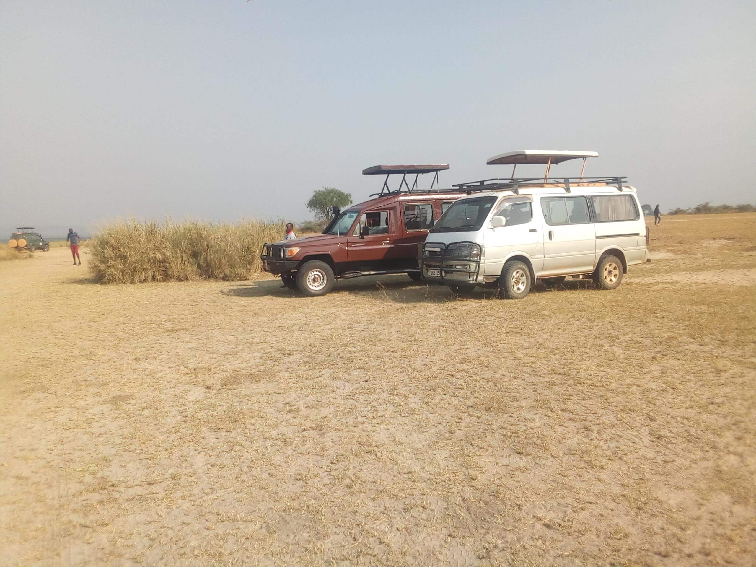 Game drives In Uganda