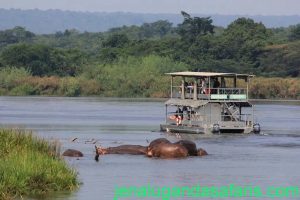 Murchison Falls Boat Cruise