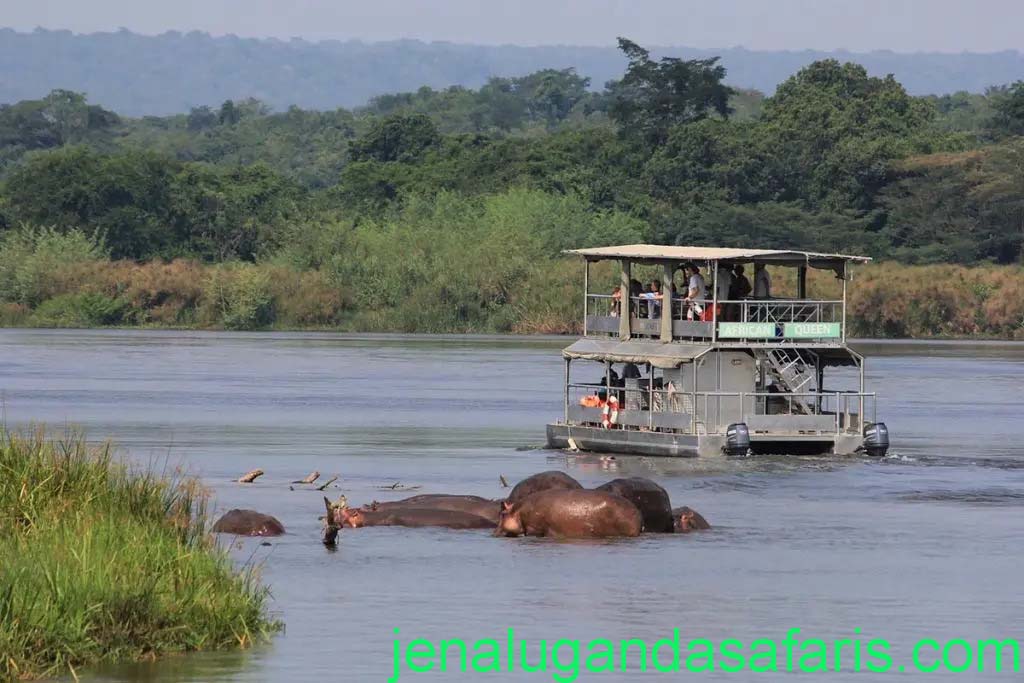Murchison Falls Boat Cruise