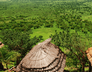 Kichwamba Queen Elizabeth View