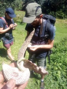 Uganda travel packages that include mountain gorillas 2022-2023